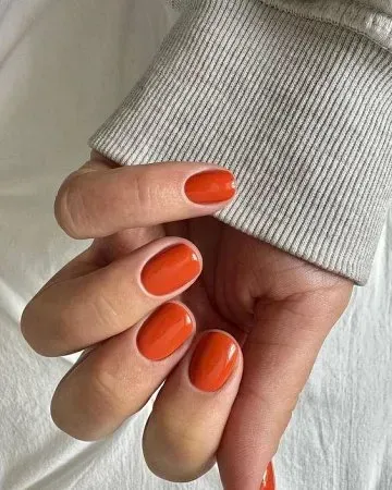 Verniz gel